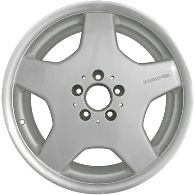 18-In Mercedes Cl500 Rim Aly065233 2002-2004 Silver Oem Wheels 2204013702 1