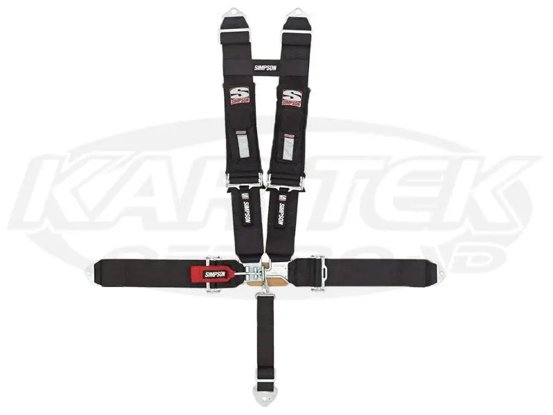 D3 5 Point 3X3 Bolt-In Seat Belt W/ Pads Black 1